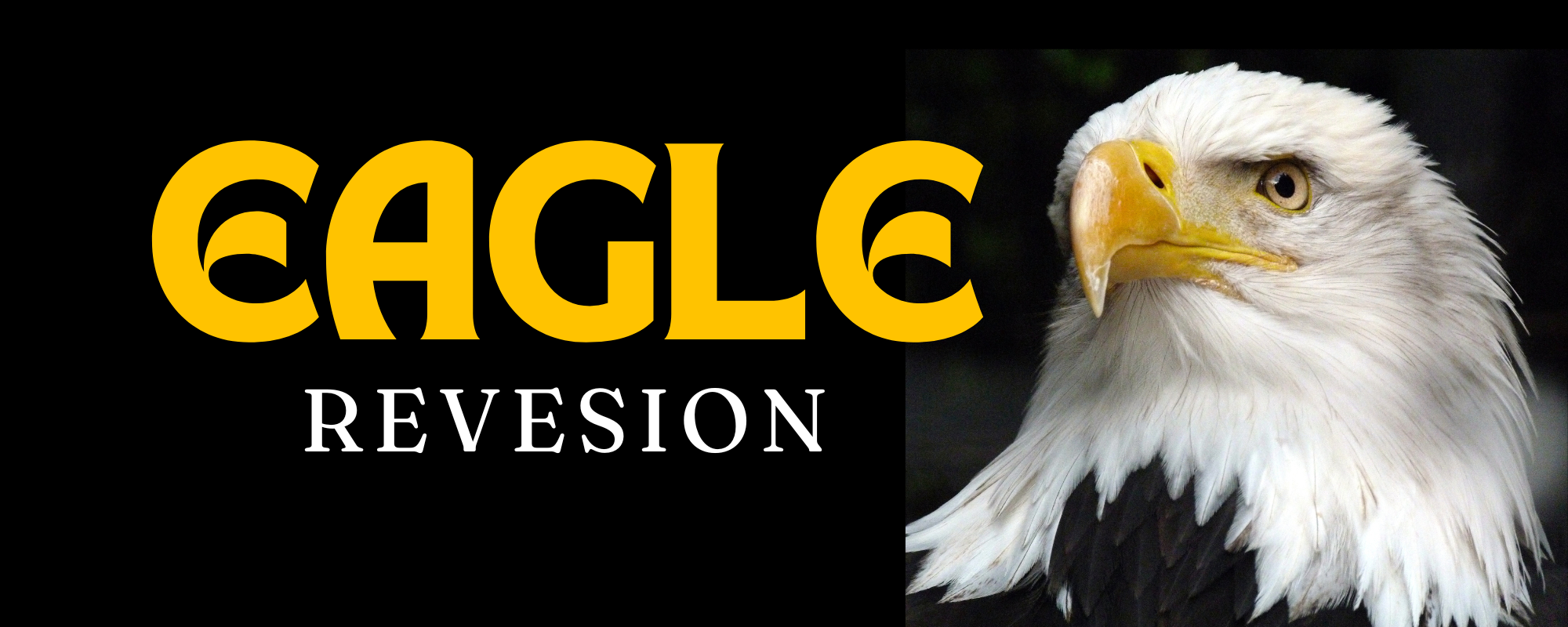 eaglerevision